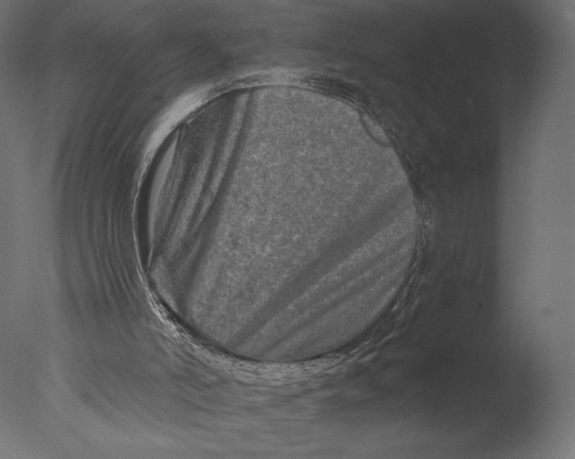 X0000076340006200610201746