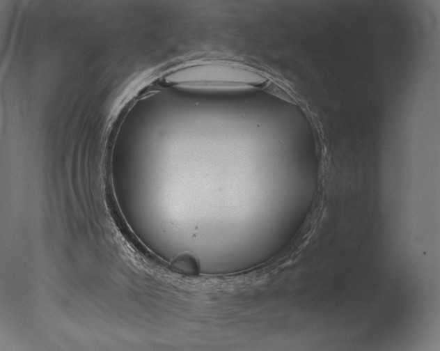 X0000076340007200610201746