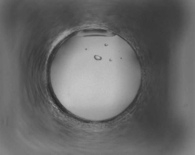 X0000076340008200610201746