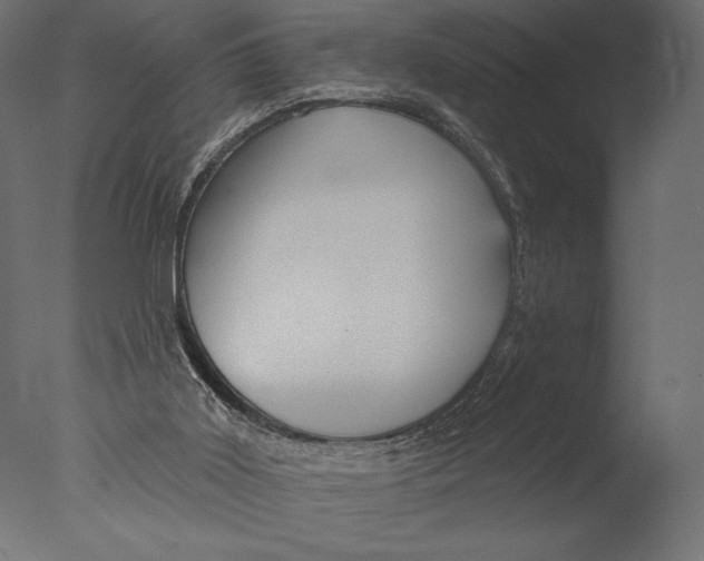 X0000076340011200610201746