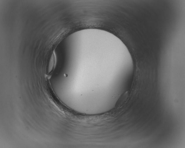 X0000076340021200610201746
