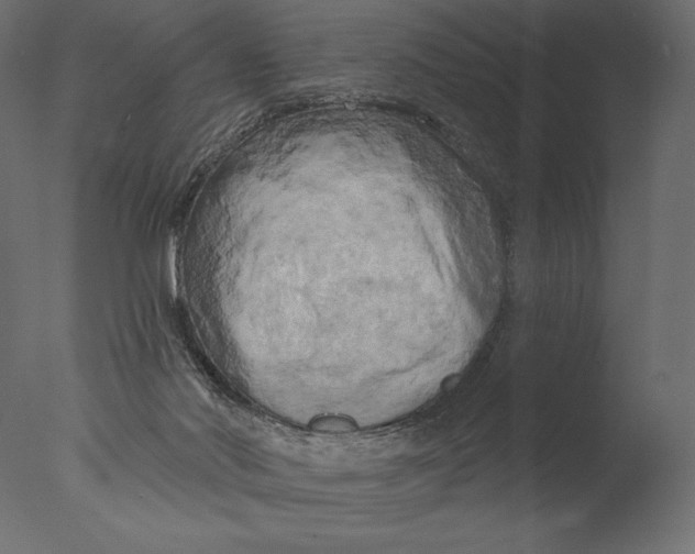 X0000076340022200610201746
