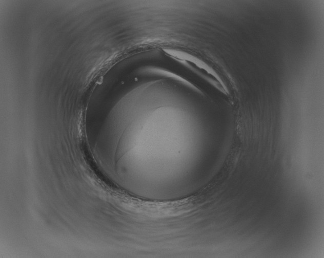 X0000076340023200610201746