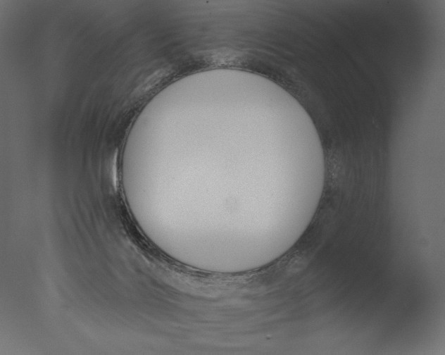 X0000076340028200610201746