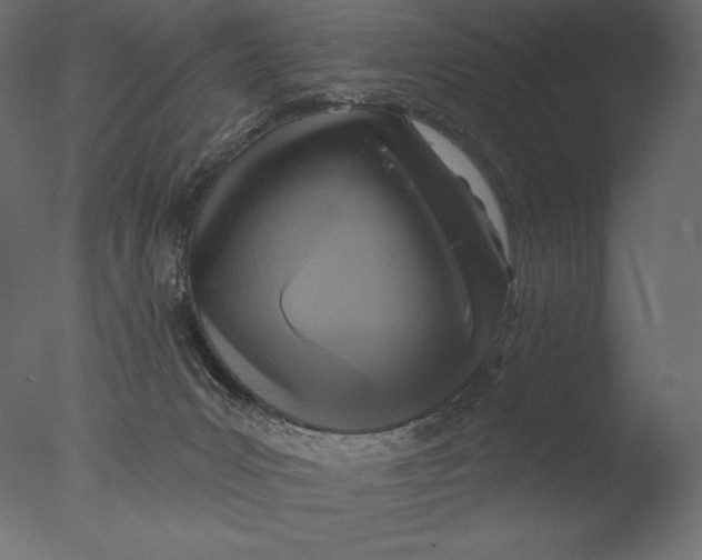 X0000076340031200610201746