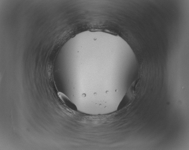 X0000076340033200610201746