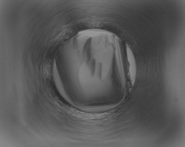 X0000076340035200610201746