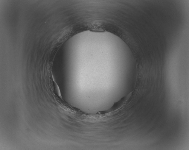 X0000076340037200610201746