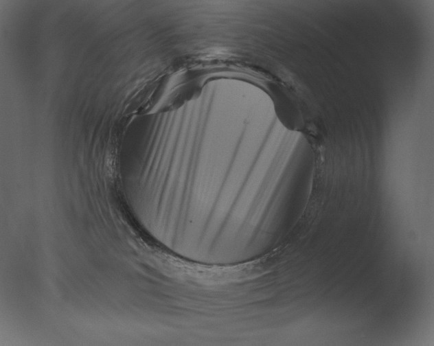 X0000076340039200610201746