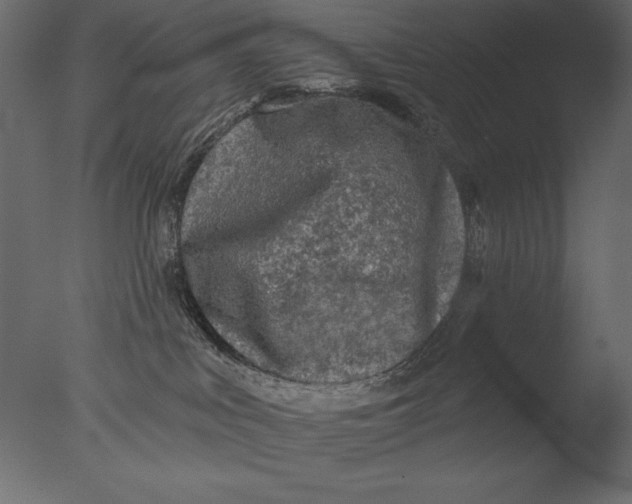 X0000076340043200610201745