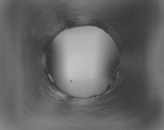 X0000076340045200610201745