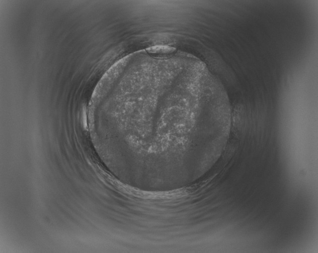 X0000076340046200610201745