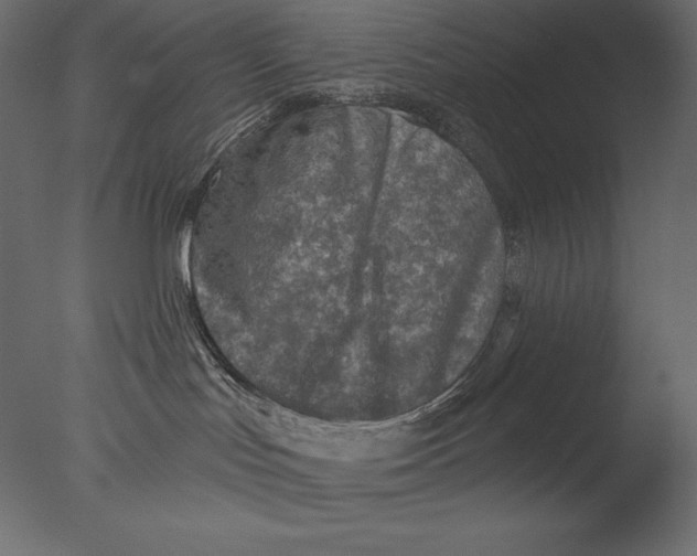 X0000076340047200610201745