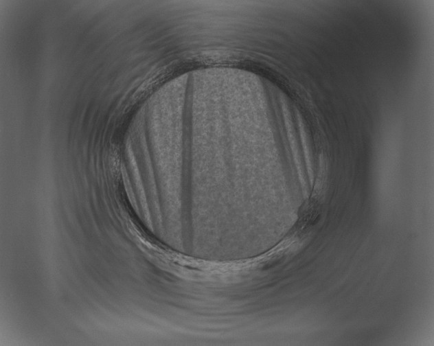 X0000076340048200610201745