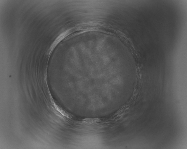 X0000076340051200610201745