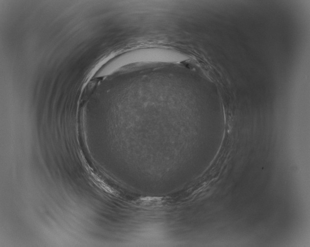 X0000076340052200610201745