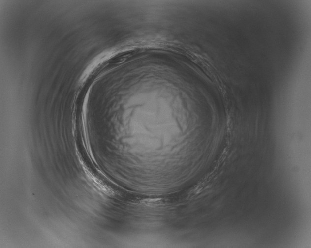 X0000076340054200610201745