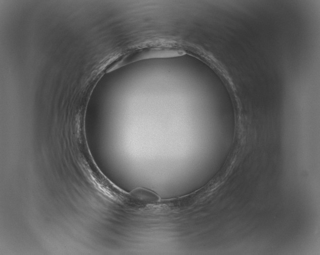 X0000076340057200610201745