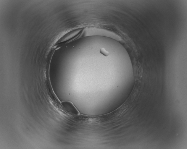 X0000076340060200610201745