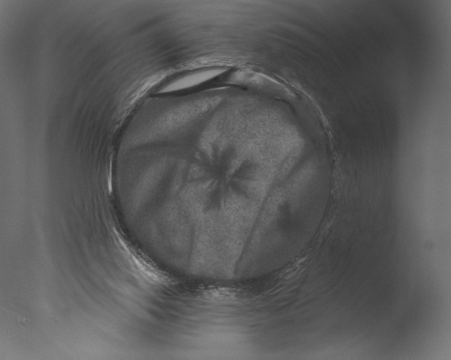 X0000076340062200610201745