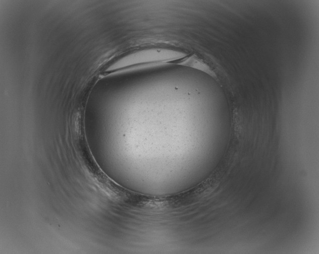 X0000076340071200610201745