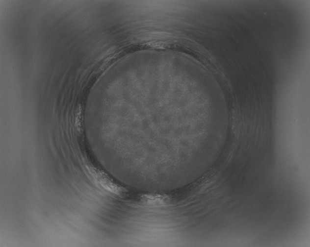 X0000076340073200610201745