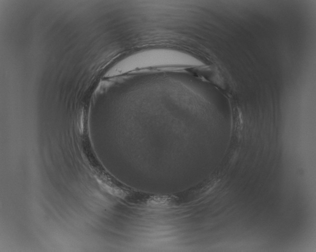 X0000076340076200610201745