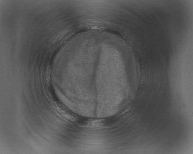 X0000076340078200610201745