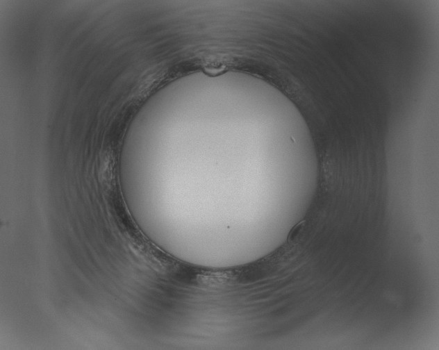 X0000076340079200610201745