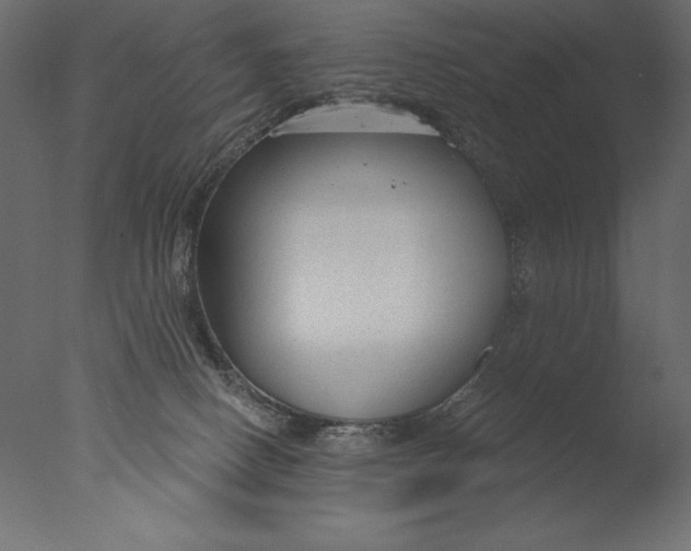 X0000076340082200610201745