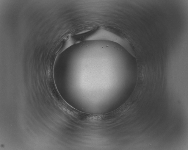 X0000076340084200610201745