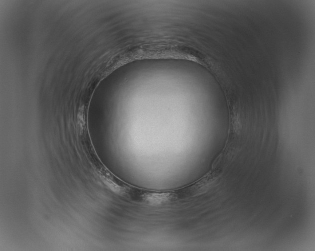 X0000076340085200610201745