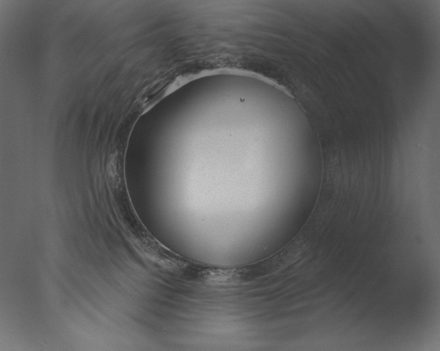 X0000076340088200610201745