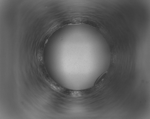X0000076340091200610201745