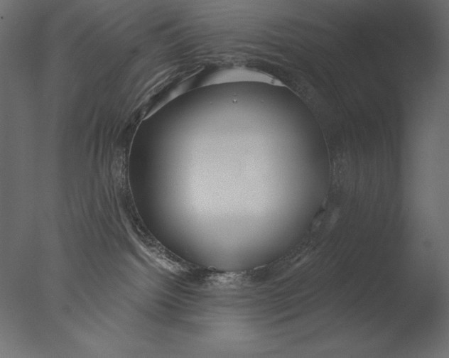 X0000076340092200610201745