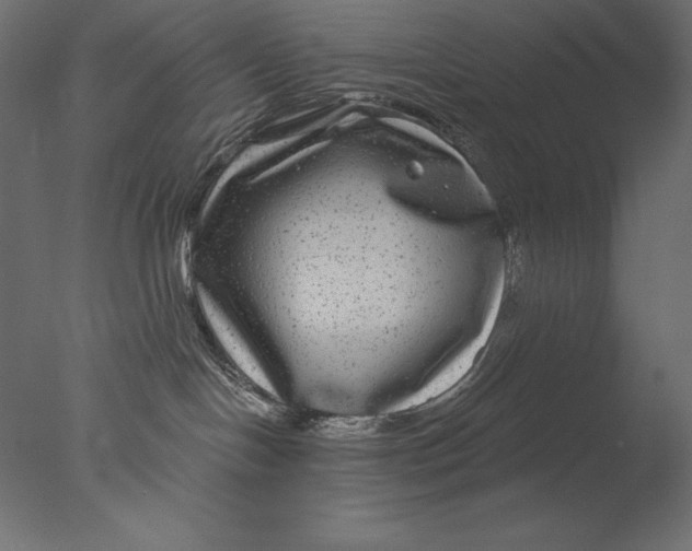 X0000076340094200610201745