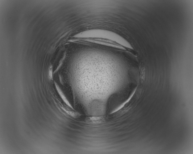 X0000076340095200610201745