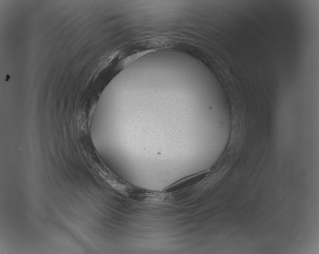 X0000076340096200610201745