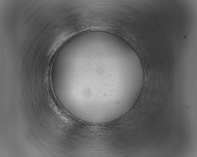 X0000076340098200610201745