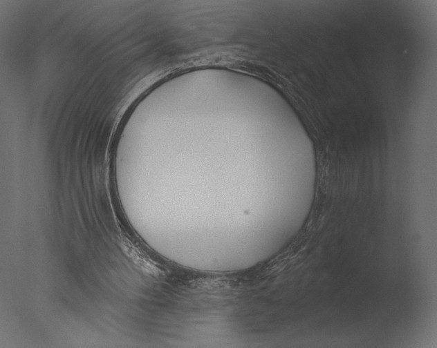X0000076340100200610201744