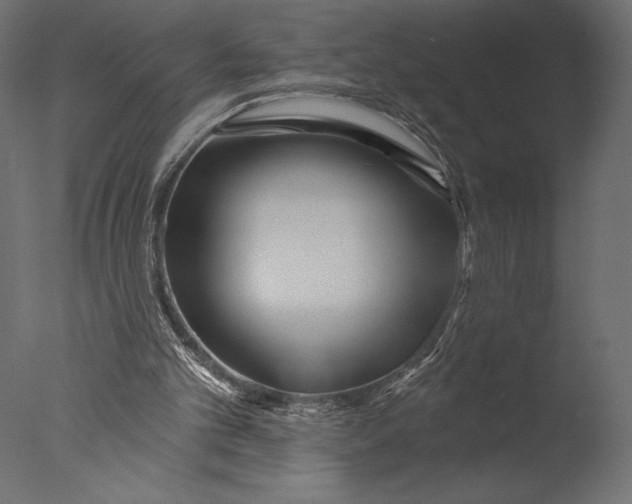 X0000076340101200610201744