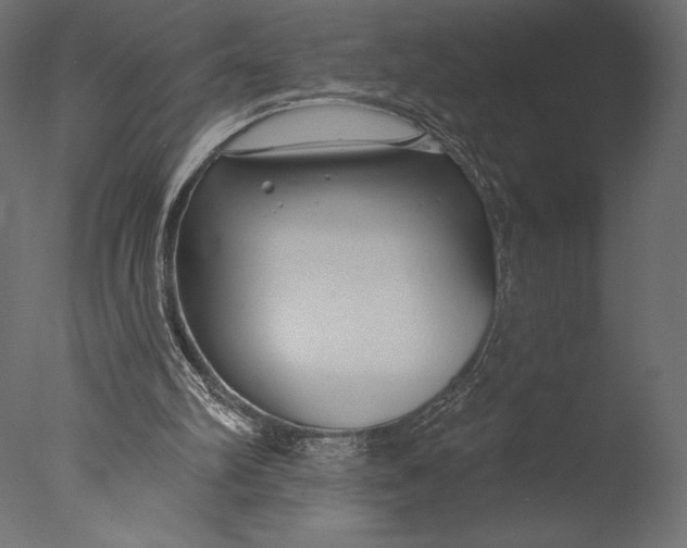 X0000076340102200610201744