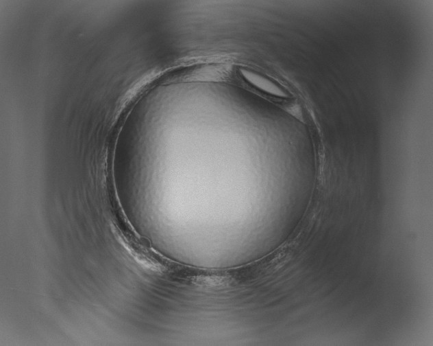 X0000076340107200610201744