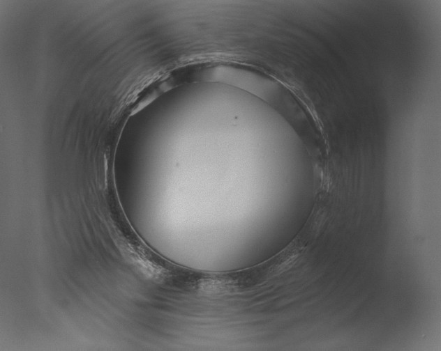 X0000076340109200610201744