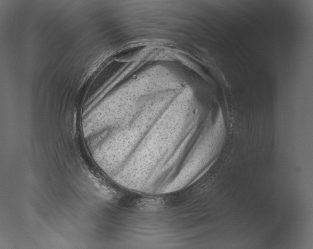 X0000076340110200610201744