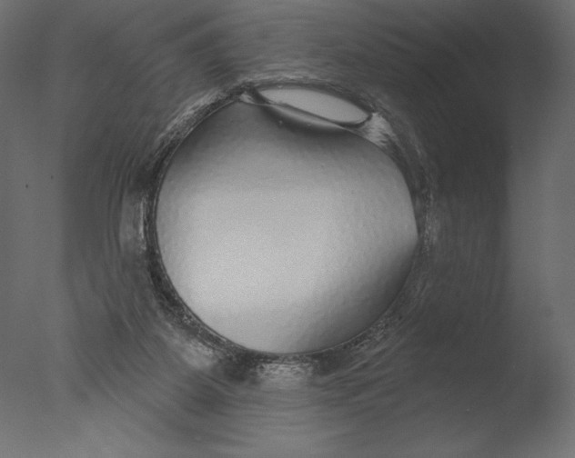 X0000076340115200610201744