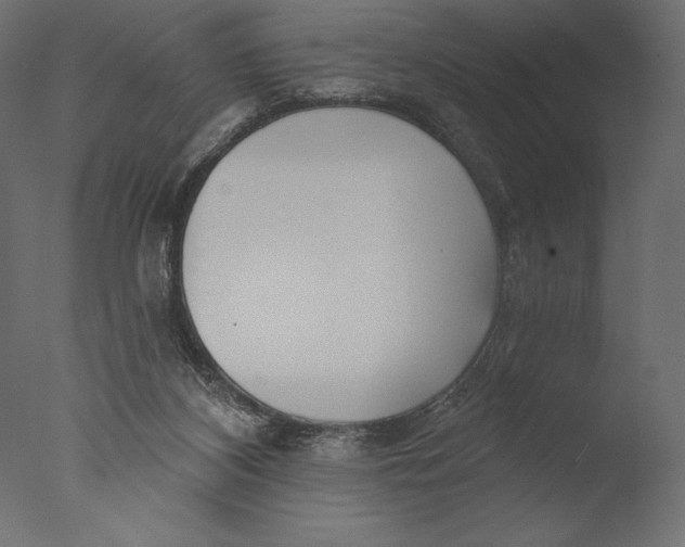 X0000076340116200610201744