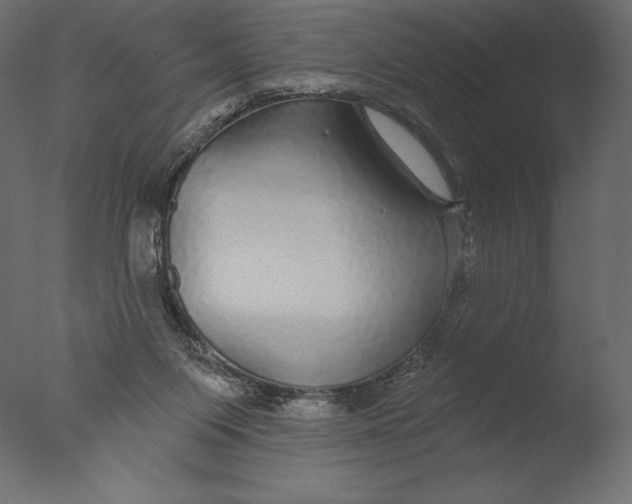 X0000076340119200610201744