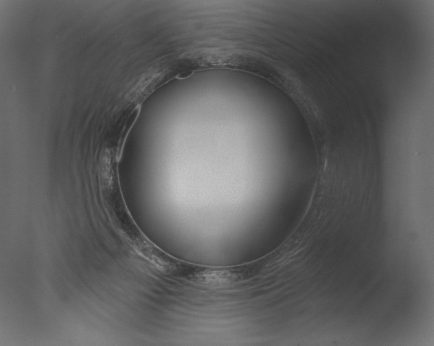 X0000076340121200610201744
