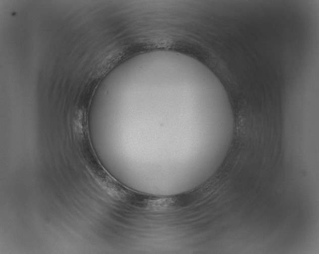X0000076340122200610201744